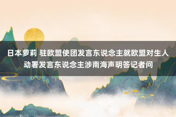 日本萝莉 驻欧盟使团发言东说念主就欧盟对生人动署发言东说念主涉南海声明答记者问