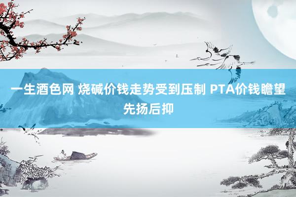 一生酒色网 烧碱价钱走势受到压制 PTA价钱瞻望先扬后抑