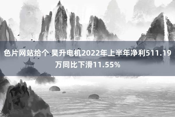 色片网站给个 昊升电机2022年上半年净利511.19万同比下滑11.55%
