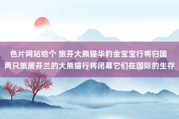 色片网站给个 旅芬大熊猫华豹金宝宝行将归国 两只旅居芬兰的大熊猫行将闭幕它们在国际的生存