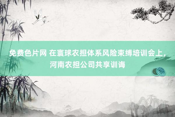 免费色片网 在寰球农担体系风险束缚培训会上，河南农担公司共享训诲