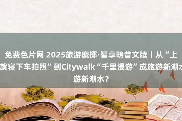 免费色片网 2025旅游糜掷·智享畴昔文牍丨从“上车就寝下车拍照”到Citywalk“千里浸游”成旅游新潮水？