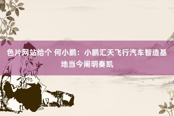 色片网站给个 何小鹏：小鹏汇天飞行汽车智造基地当今阐明奏凯